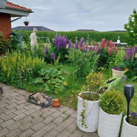 Falster Vaerelse Homestay *