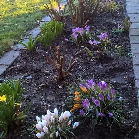 Rum i privatbostad Falster Vaerelse